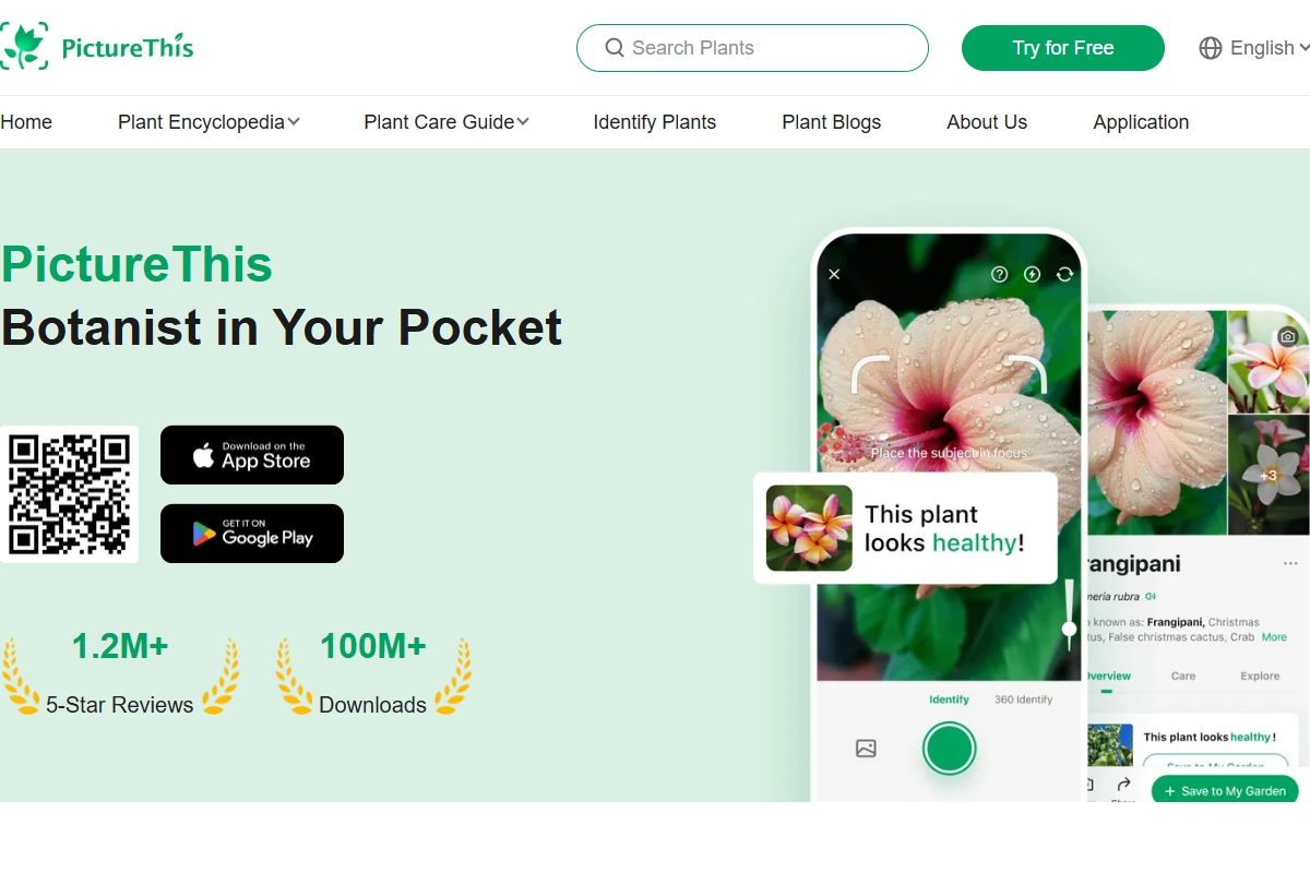 PictureThis PictureThis