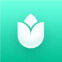 Plantin