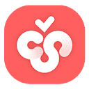 Cherry Studio AI